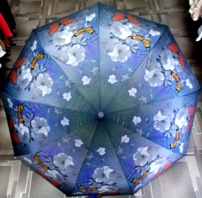 Фото 3. Зонт автомат женский