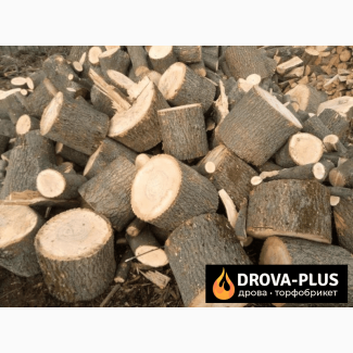 Дрова Рожище купити Drova-plus