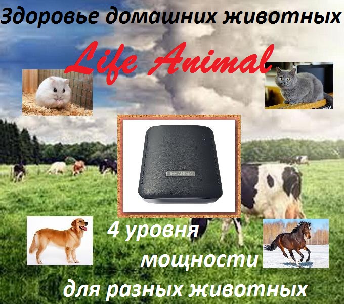 Фото 3. Лечение кошки, собаки, коровы устройством Life Animal. 4 уровня мощности| КешБэк 10%