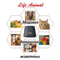 Лечение кошки, собаки, коровы устройством Life Animal. 4 уровня мощности| КешБэк 10%